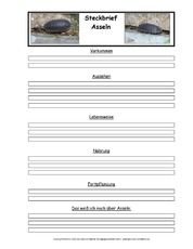Asseln-Tiersteckbriefvorlage.pdf
